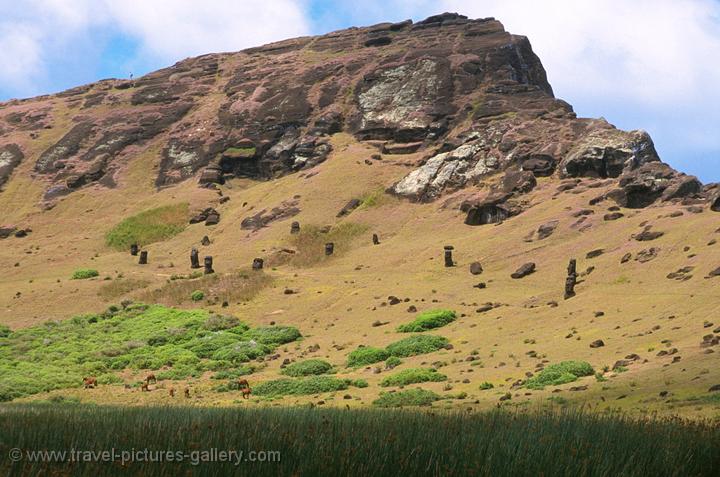 Pictures of Chile- Rapa Nui- Easter Island - moai at the slopes of Ranga Roa