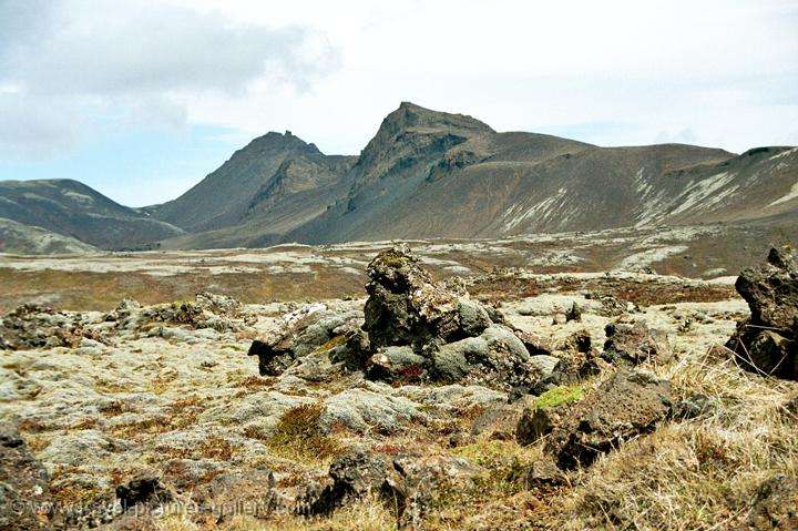 lava fields near Mývatn