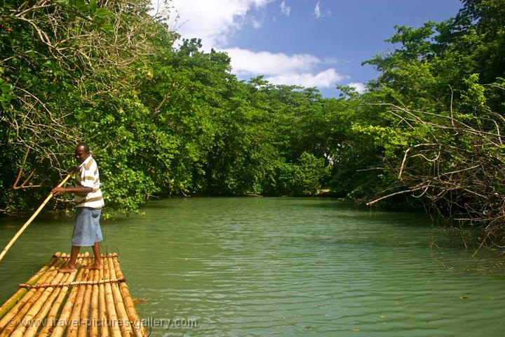 Jamaican Bamboo