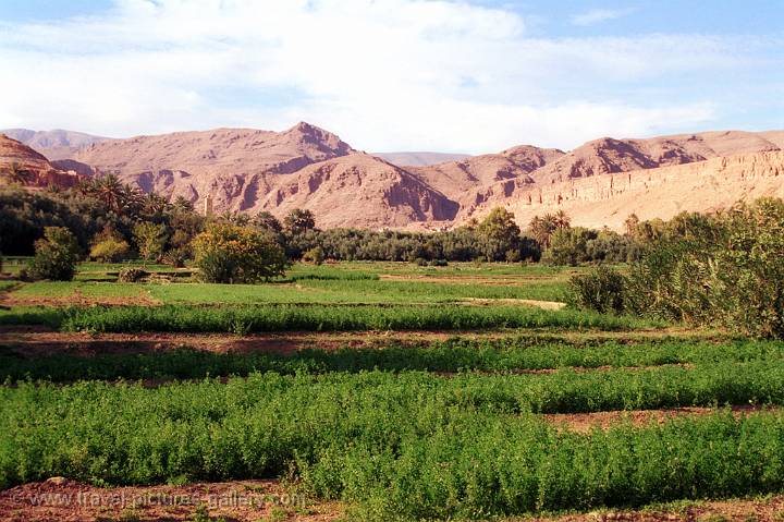 the Dades Valley in the High Atlas