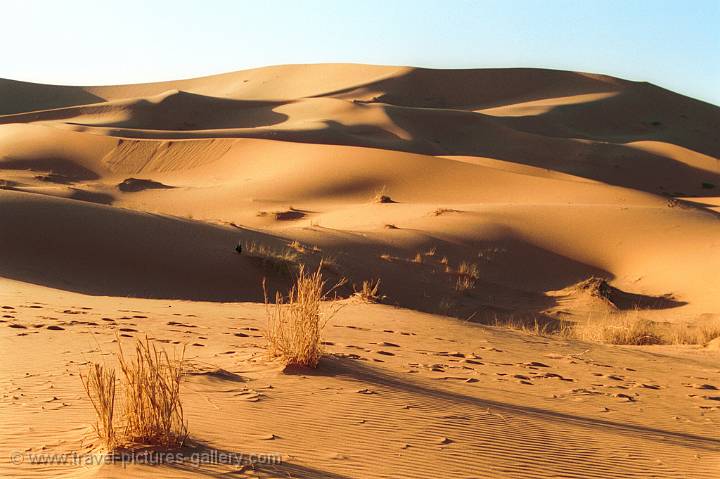 Pictures of Morocco -  Sahara Desert sand dunes at Erg Chebbi (Merzouga)
