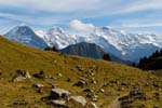 Eiger, Monch, Jungfrau on the Grindelwald from Schynige Platte walk