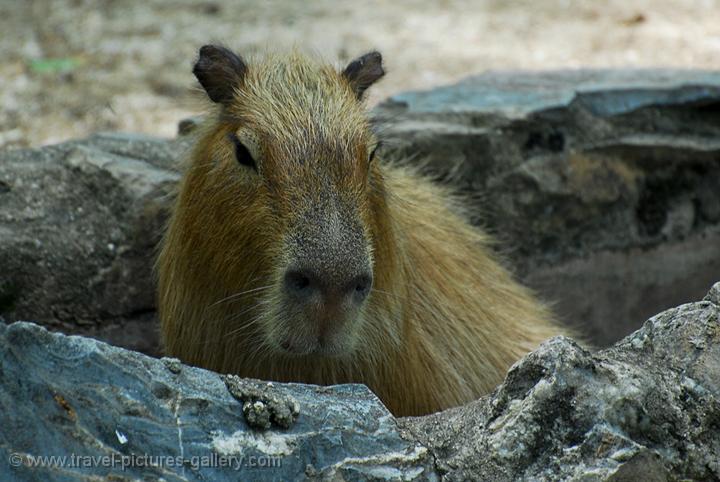 Spain Zoo