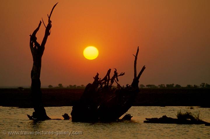 Chobe River sunset, Botswana