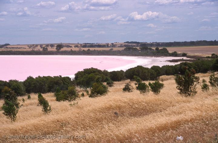 Pictures Of Australia Coober Pedy Adelaide 0052 Pink Lake