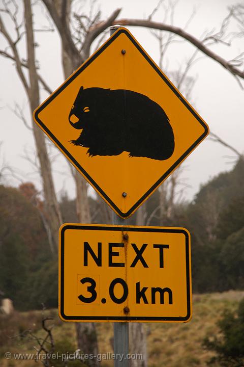 Pictures of Australia - Tasmania-0083 - Wombat crossing sign, Cradle ...