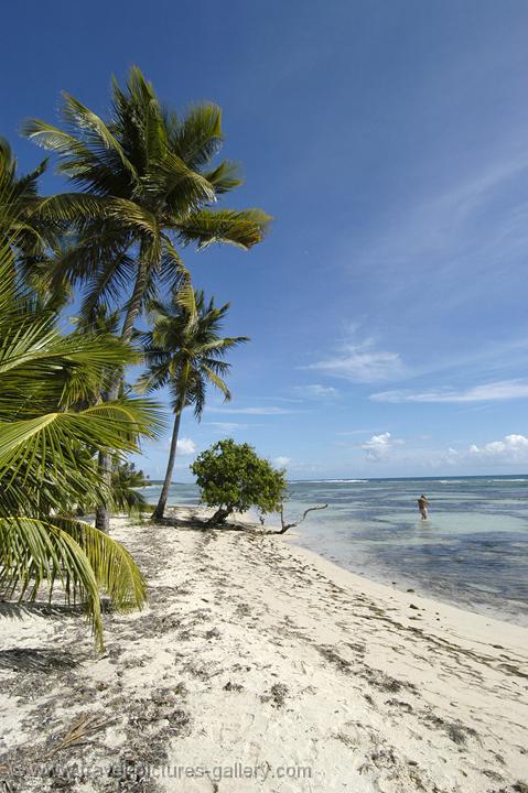 Pictures Of The Caribbean Guadeloupe 0035 Beach At