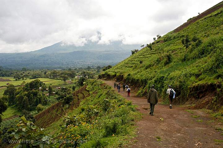 trekking in the Parque National des Virunga