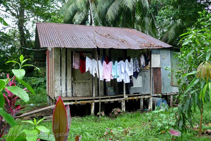 tortuguero-0018.jpg