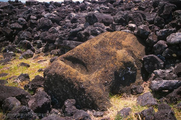 Pictures of Chile- Rapa Nui- Easter Island - a toppled Moai head in volcanic rock