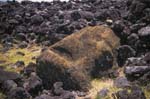 a toppled Moai head in volcanic rock