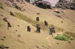 Pictures of Chile- Rapa Nui- Easter Island - moai at the slopes of Ranga Roa