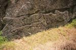 Polynesian rock art