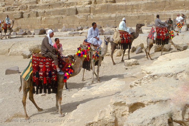 camel drivers offering a ride at the Great Pyramids of Giza