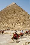 camel drivers offering a ride at the Great Pyramids of Giza