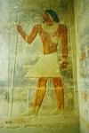 relief at the Mastaba (tomb) of Ka-Gmni Oyn, Saqqara