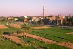 fields at the edge of modern Luxor town