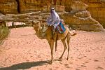 Bedouin man with his camel, Sinai Desert