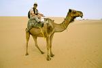 Camel trek in the desert near Kharga Oasis