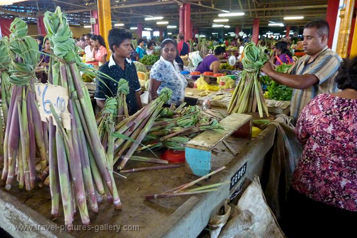 Pictures of Fiji - Suva-0016 - food stalls at Suva municipal market