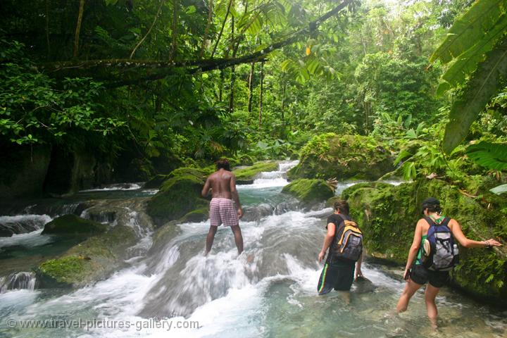 Pictures of Jamaica -0007 - jungle trekking to Reach Falls