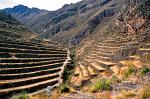 Inca Terrasses, Colca Canyon, Peru