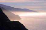 Big Sur, morning fog, Julia Pfeiffer Burns State Park, California, USA