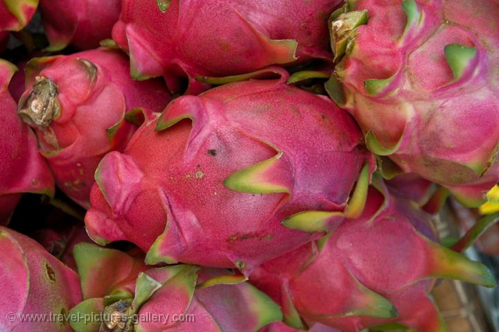 Pictures of Laos - South-Laos-0021 - Pitaya or Dragon Fruit ...