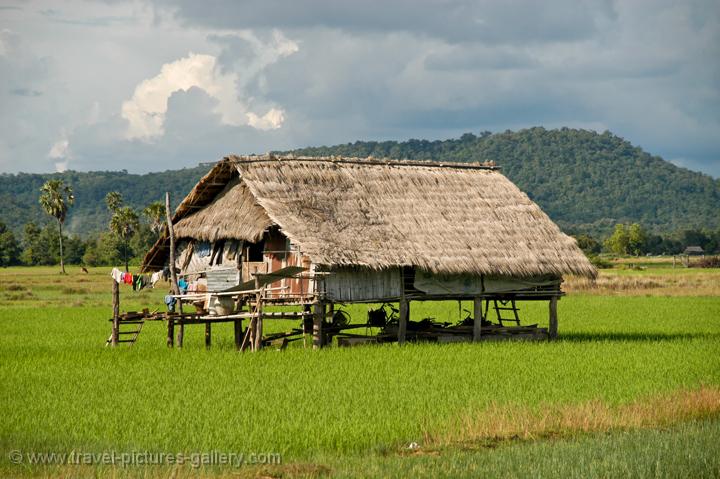 Pictures of Laos - South-Laos-0081 - Don Khong, Khong Island ...