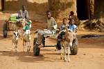 donkey carts, rural life, Segou Koro