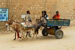 local transport by donkey cart