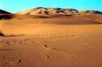 Sahara Desert sand dunes at Erg Chebbi (Merzouga)