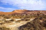 Namib Naukluft NP, sand dunes