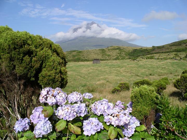 Pico Volcano, Portugal's highest mountain, Pico Island