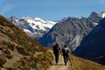 trekkers enjoying a walk, Grindelwald, Bernese Oberland