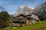traditional alpine farmhouse, Wetterhorn, Grindelwald