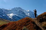 mountain walks in Bernese Oberland