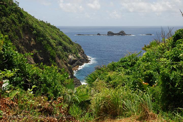 Travel Pictures Gallery - Tobago-0026- Little Tobago Island, a nature ...