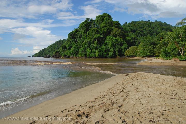 Travel Pictures Gallery- Trinidad- North-0021- the beach at Grande Riviere