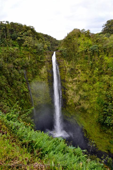 Pictures of Hawaii - Big Island-0011 - Akaka Falls, a 129 m. (422 feet ...