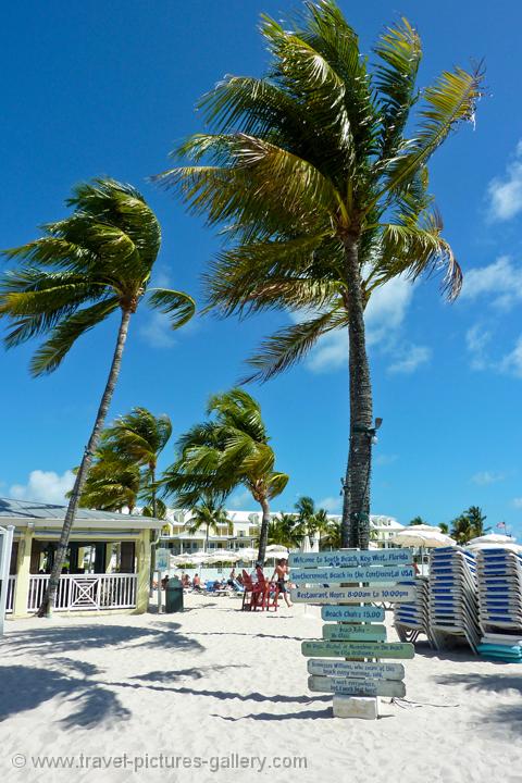 palm shaded key west beaches