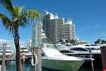 yachts at Miami Beach Marina