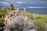 Tufa towers and flora on the lakeside