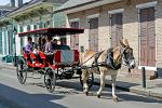tour of the French Quarter by horse cart
