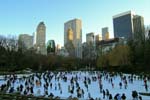 skating rink in Central Park