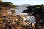 the Monterey Peninsula
