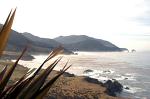 the coast near Bixby Bridge